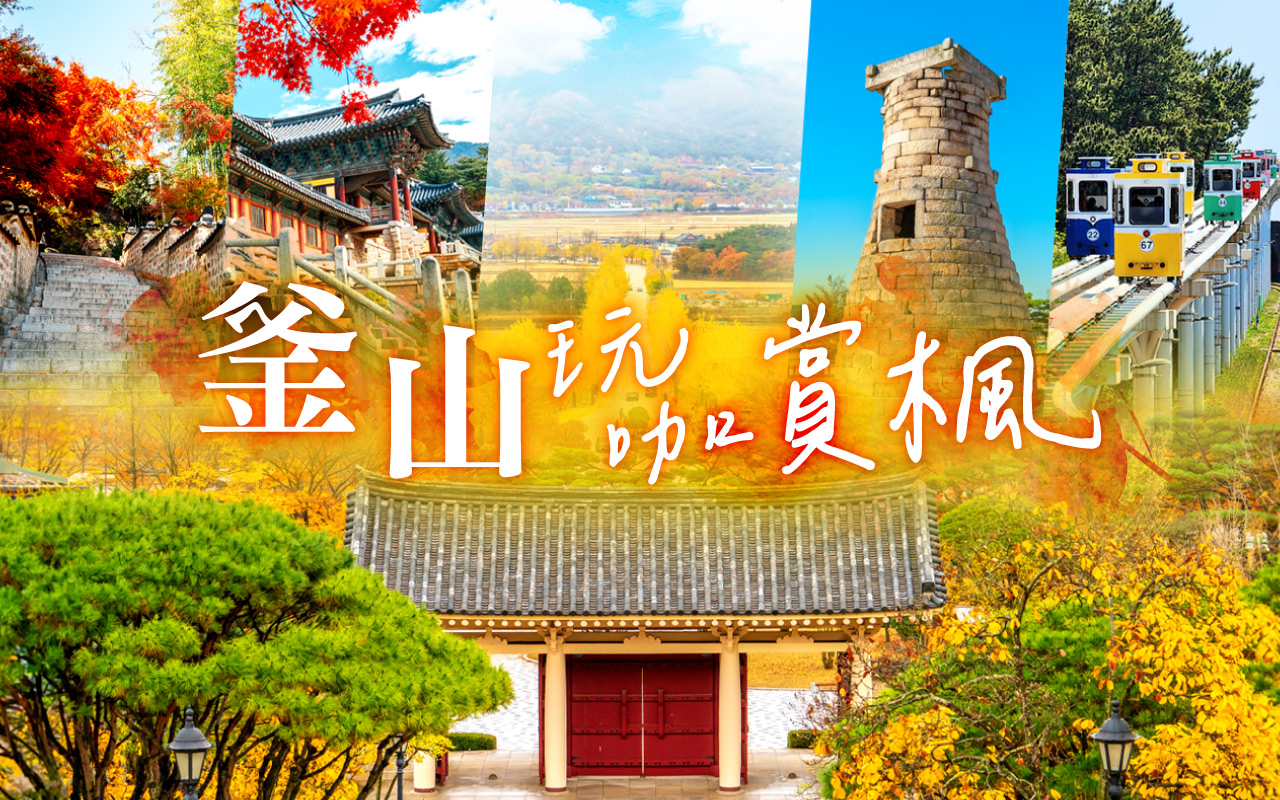 釜山玩咖賞楓5日